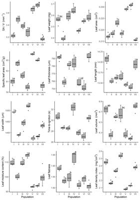 Variability of leaf traits in natural populations of Picea omorika determines ignitability of fresh foliage